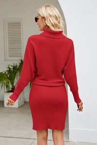 Ribbed Mock Neck Long Sleeve Dress - Pahabu - Women's Clothing & Shop