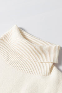 Turtleneck Long Sleeve Sweater - Pahabu - Women's Clothing & Shop