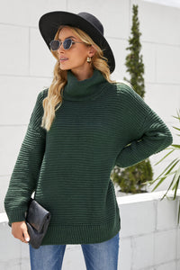 Horizontal Ribbing Turtleneck Sweater - Pahabu - Women's Clothing & Shop