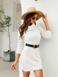 Turtleneck Long Sleeve Slit Sweater Dress - Pahabu - Women's Clothing & Shop