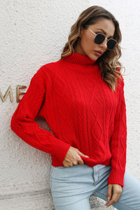 Turtleneck Long Sleeve Sweater - Pahabu - Women's Clothing & Shop