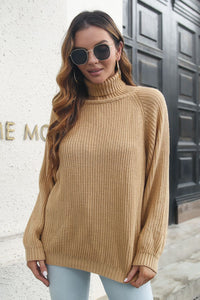 Turtleneck Rib-Knit Sweater - Pahabu - Women's Clothing & Shop