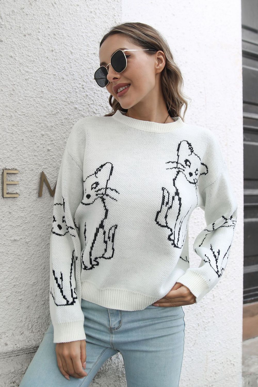 Cat Pattern Round Neck Long Sleeve Pullover Sweater - Pahabu - Women's Clothing & Shop